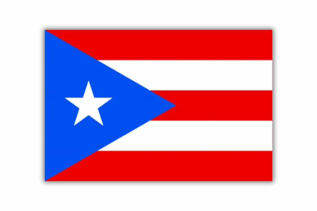 Transporte VIP Ejecutivo y Privado en Puerto Rico | Luxy VIP Transport